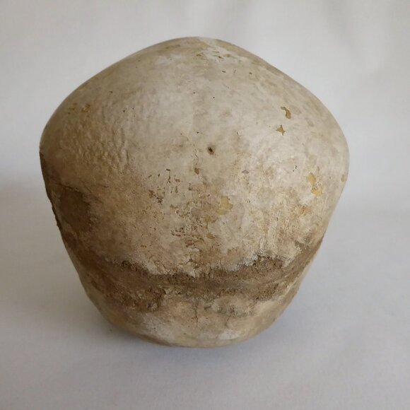 2006 DISNEY PIRATES OF THE CARIBBEAN OFFICIAL MOVIE FILM PROP PELEGOSTO SKULL - Picture 10 of 15